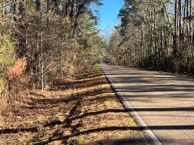 Price Improvement 50 acre tract east of Oakdale on Hwy 10 - image 7