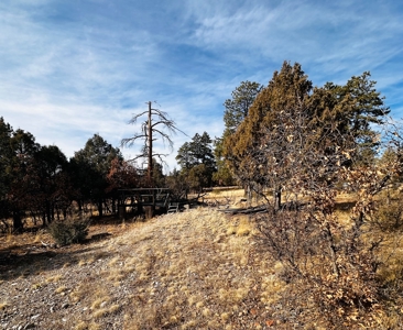 Land / Acreage in Laguna Vista Subdivision, Near Chama, NM - image 5