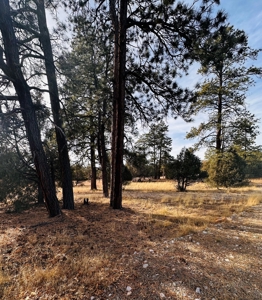 Land / Acreage in Laguna Vista Subdivision, Near Chama, NM - image 8