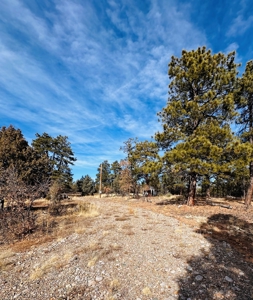 Land / Acreage in Laguna Vista Subdivision, Near Chama, NM - image 6