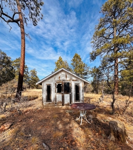 Land / Acreage in Laguna Vista Subdivision, Near Chama, NM - image 4