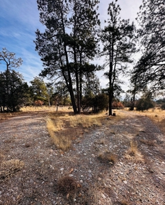 Land / Acreage in Laguna Vista Subdivision, Near Chama, NM - image 2