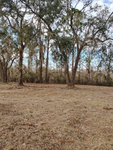 1.07 acres fenced at end of cul-de-sac in Perry, FL! - image 2