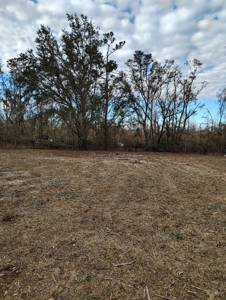 1.07 acres fenced at end of cul-de-sac in Perry, FL! - image 3