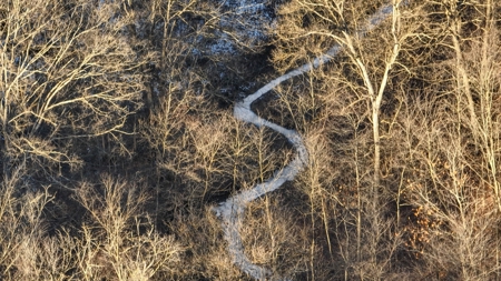 Ridgetop Hunting Land for sale in Vernon County, Wisconsin - image 30