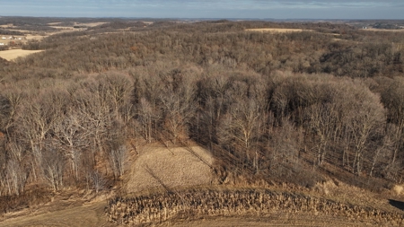 Ridgetop Hunting Land for sale in Vernon County, Wisconsin - image 11