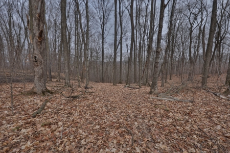 Ridgetop Hunting Land for sale in Vernon County, Wisconsin - image 27