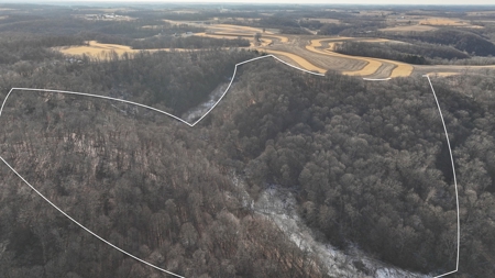 Ridgetop Hunting Land for sale in Vernon County, Wisconsin - image 7