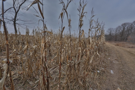 Ridgetop Hunting Land for sale in Vernon County, Wisconsin - image 26