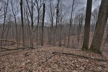 Ridgetop Hunting Land for sale in Vernon County, Wisconsin - image 36