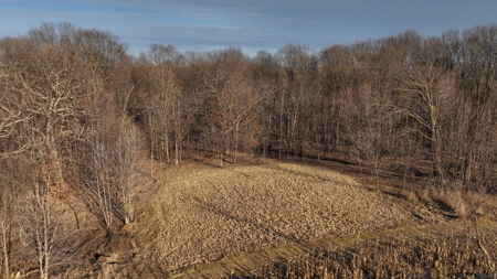 Ridgetop Hunting Land for sale in Vernon County, Wisconsin - image 10