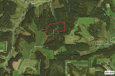Ridgetop Hunting Land for sale in Vernon County, Wisconsin - image 42