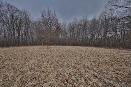 Ridgetop Hunting Land for sale in Vernon County, Wisconsin - image 25