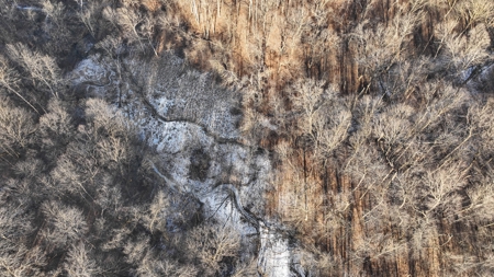 Ridgetop Hunting Land for sale in Vernon County, Wisconsin - image 31