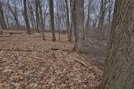 Ridgetop Hunting Land for sale in Vernon County, Wisconsin - image 39