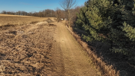Ridgetop Hunting Land for sale in Vernon County, Wisconsin - image 9