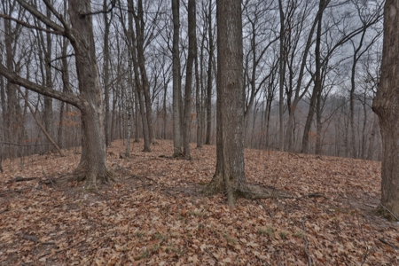 Ridgetop Hunting Land for sale in Vernon County, Wisconsin - image 35