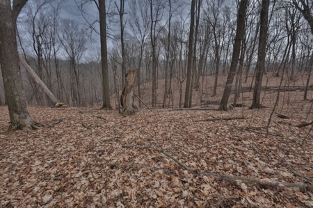 Ridgetop Hunting Land for sale in Vernon County, Wisconsin - image 38