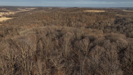 Ridgetop Hunting Land for sale in Vernon County, Wisconsin - image 28