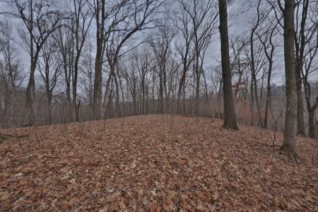 Ridgetop Hunting Land for sale in Vernon County, Wisconsin - image 34