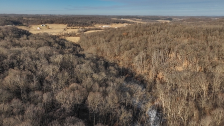Ridgetop Hunting Land for sale in Vernon County, Wisconsin - image 32