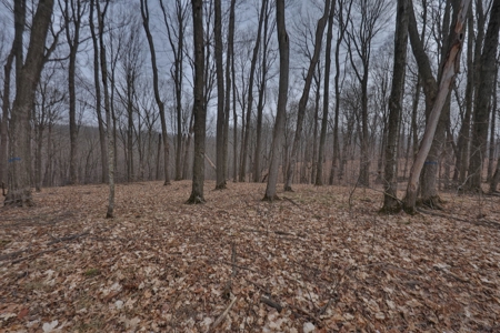 Ridgetop Hunting Land for sale in Vernon County, Wisconsin - image 37