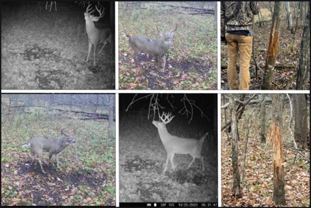 Ridgetop Hunting Land for sale in Vernon County, Wisconsin - image 1
