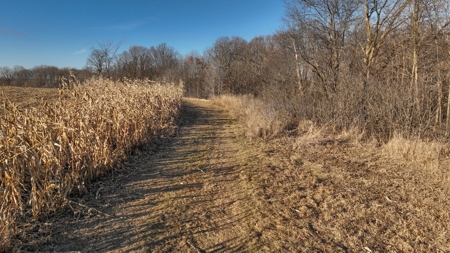 Ridgetop Hunting Land for sale in Vernon County, Wisconsin - image 8