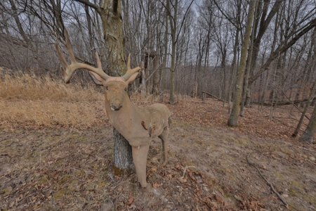 Ridgetop Hunting Land for sale in Vernon County, Wisconsin - image 17