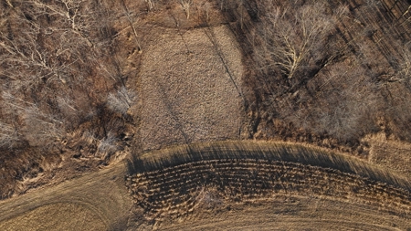 Ridgetop Hunting Land for sale in Vernon County, Wisconsin - image 23