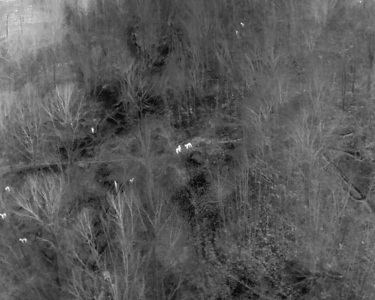 Ridgetop Hunting Land for sale in Vernon County, Wisconsin - image 18