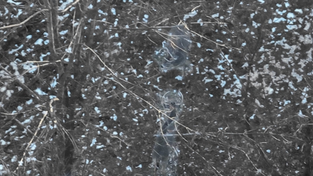 Ridgetop Hunting Land for sale in Vernon County, Wisconsin - image 19