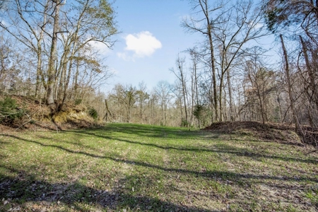 Hunting Land for Sale in The MS Delta - image 26