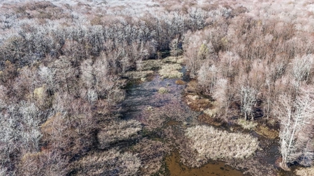 Hunting Land for Sale in The MS Delta - image 39