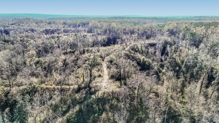 Hunting Land for Sale in The MS Delta - image 44
