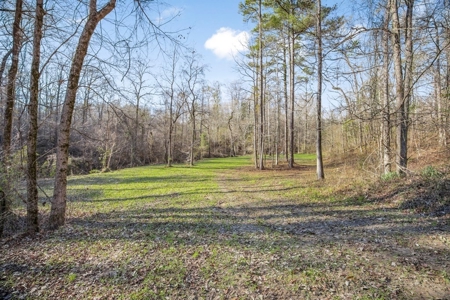 Hunting Land for Sale in The MS Delta - image 25