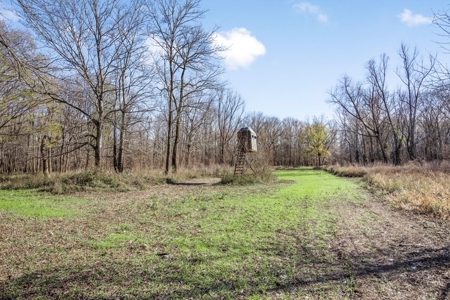 Hunting Land for Sale in The MS Delta - image 18