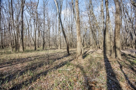 Hunting Land for Sale in The MS Delta - image 21