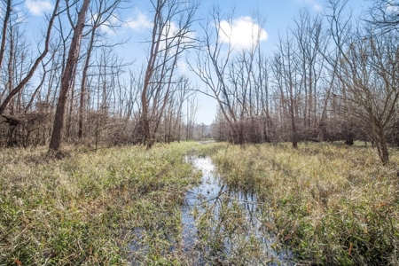 Hunting Land for Sale in The MS Delta - image 17