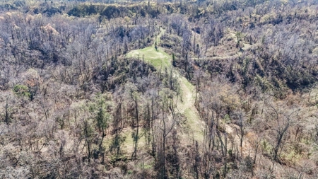 Hunting Land for Sale in The MS Delta - image 30