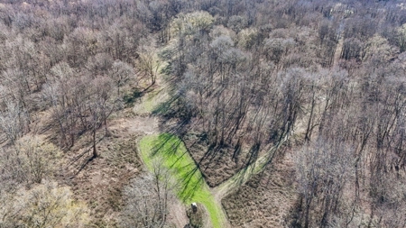 Hunting Land for Sale in The MS Delta - image 34
