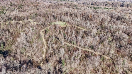 Hunting Land for Sale in The MS Delta - image 45