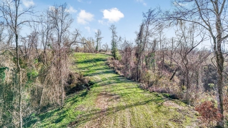 Hunting Land for Sale in The MS Delta - image 41