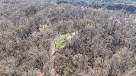 Hunting Land for Sale in The MS Delta - image 31