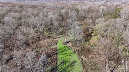 Hunting Land for Sale in The MS Delta - image 35
