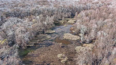 Hunting Land for Sale in The MS Delta - image 37