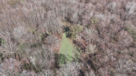 Hunting Land for Sale in The MS Delta - image 33