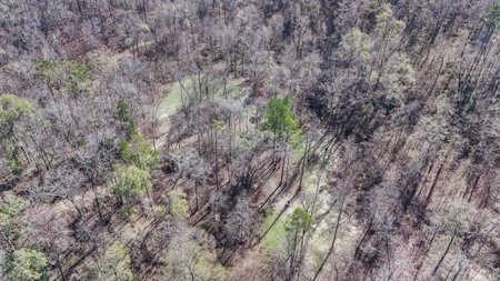 Hunting Land for Sale in The MS Delta - image 29