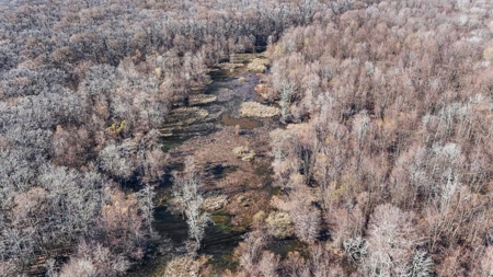 Hunting Land for Sale in The MS Delta - image 38