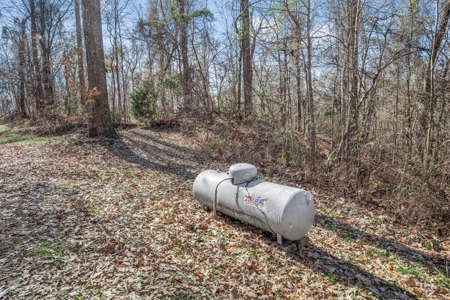 Hunting Land for Sale in The MS Delta - image 16
